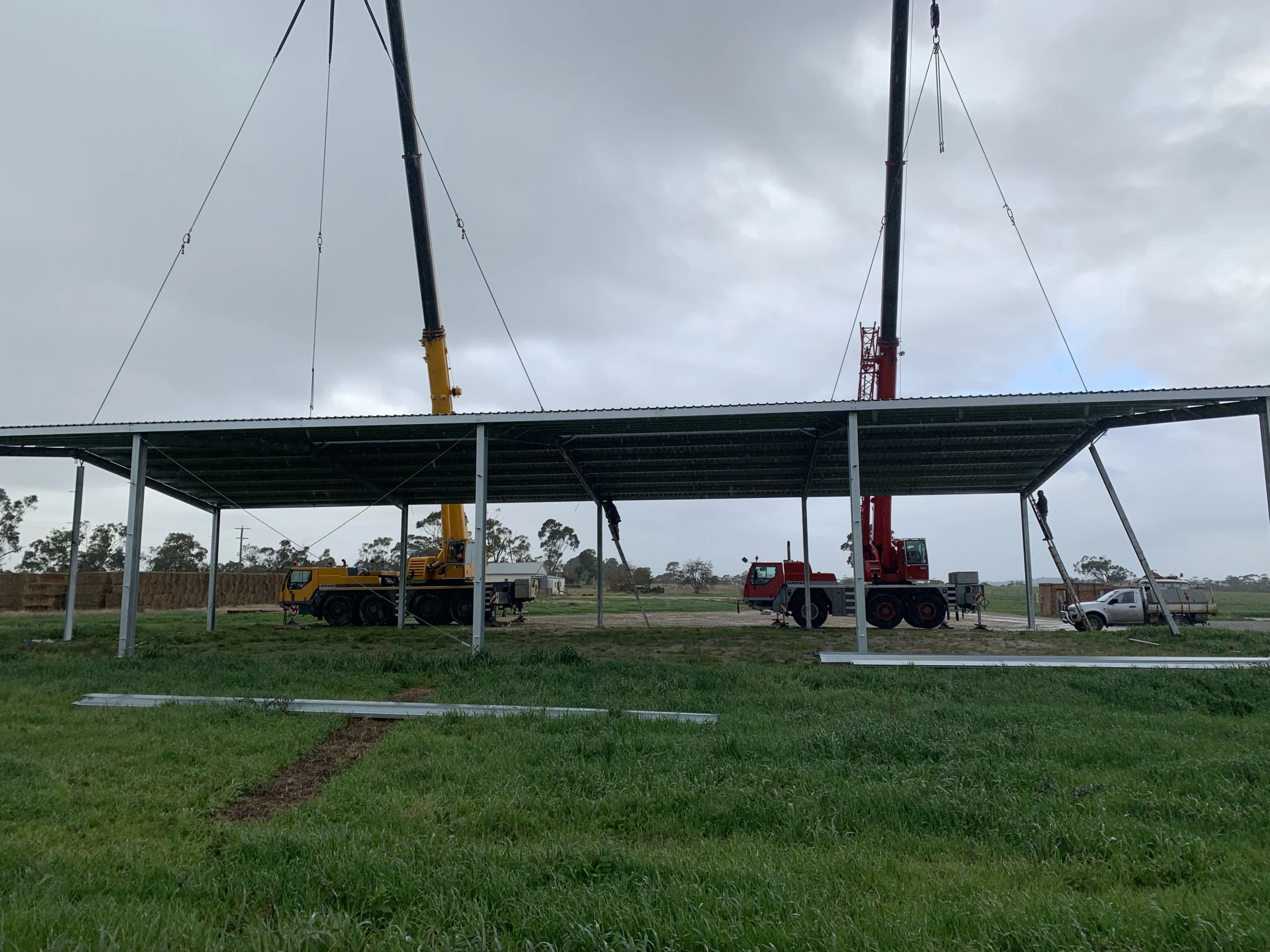 Crane photo