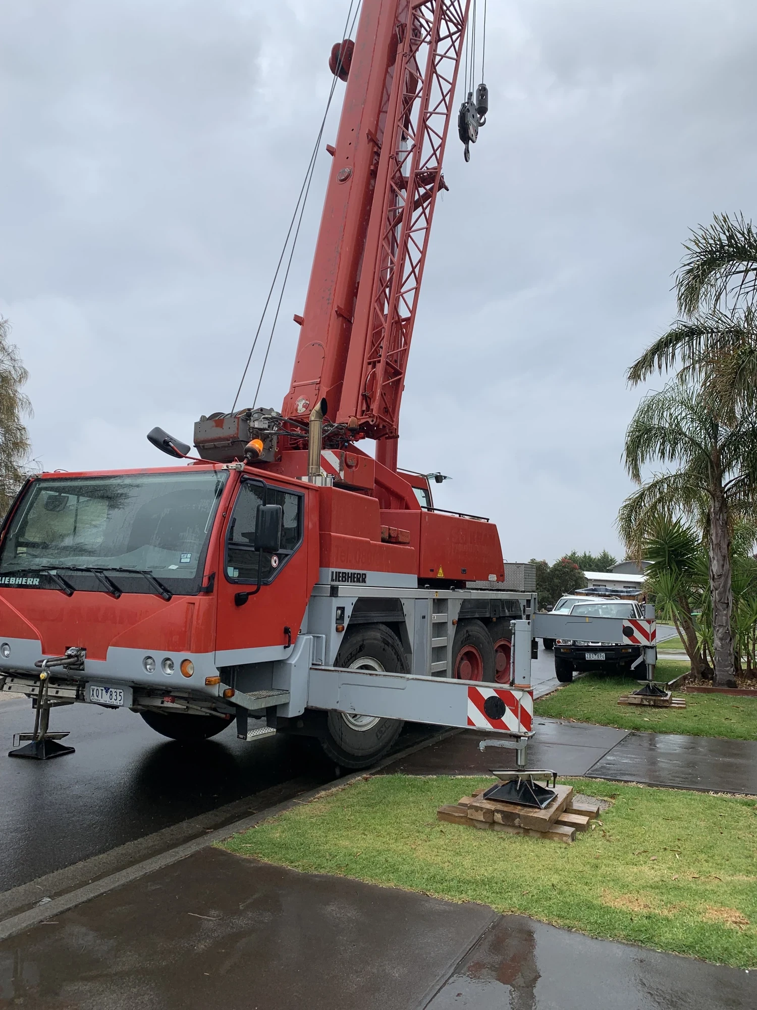 Cranes project