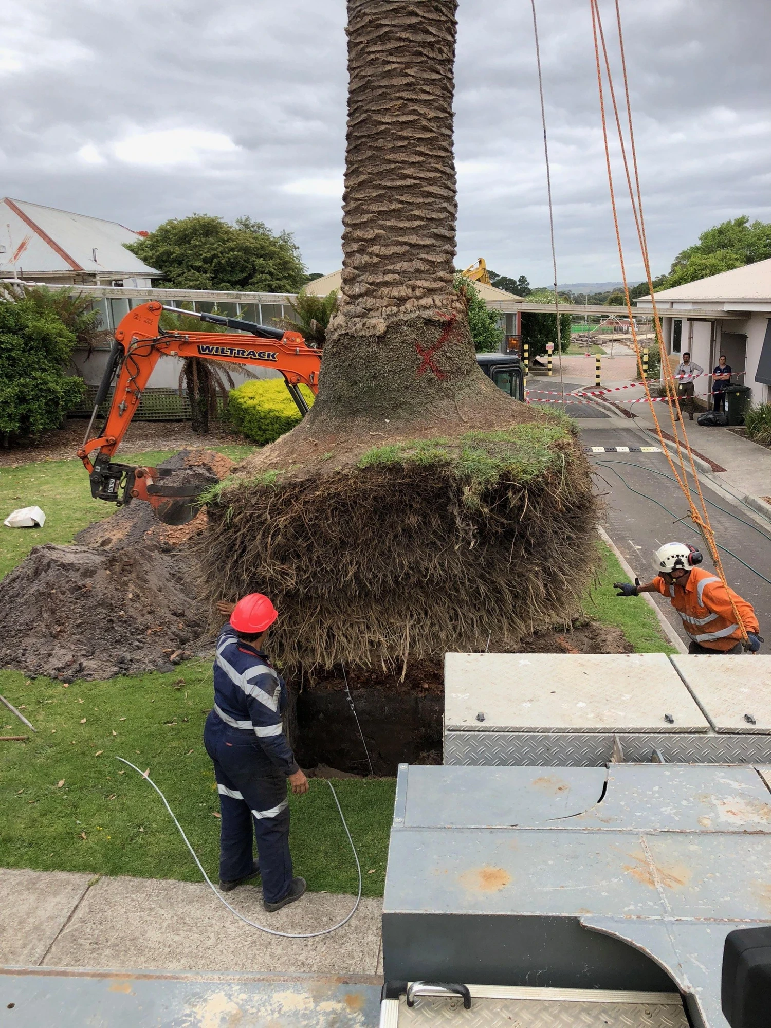 Work project photo